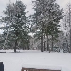 Meet your Posher, Patti